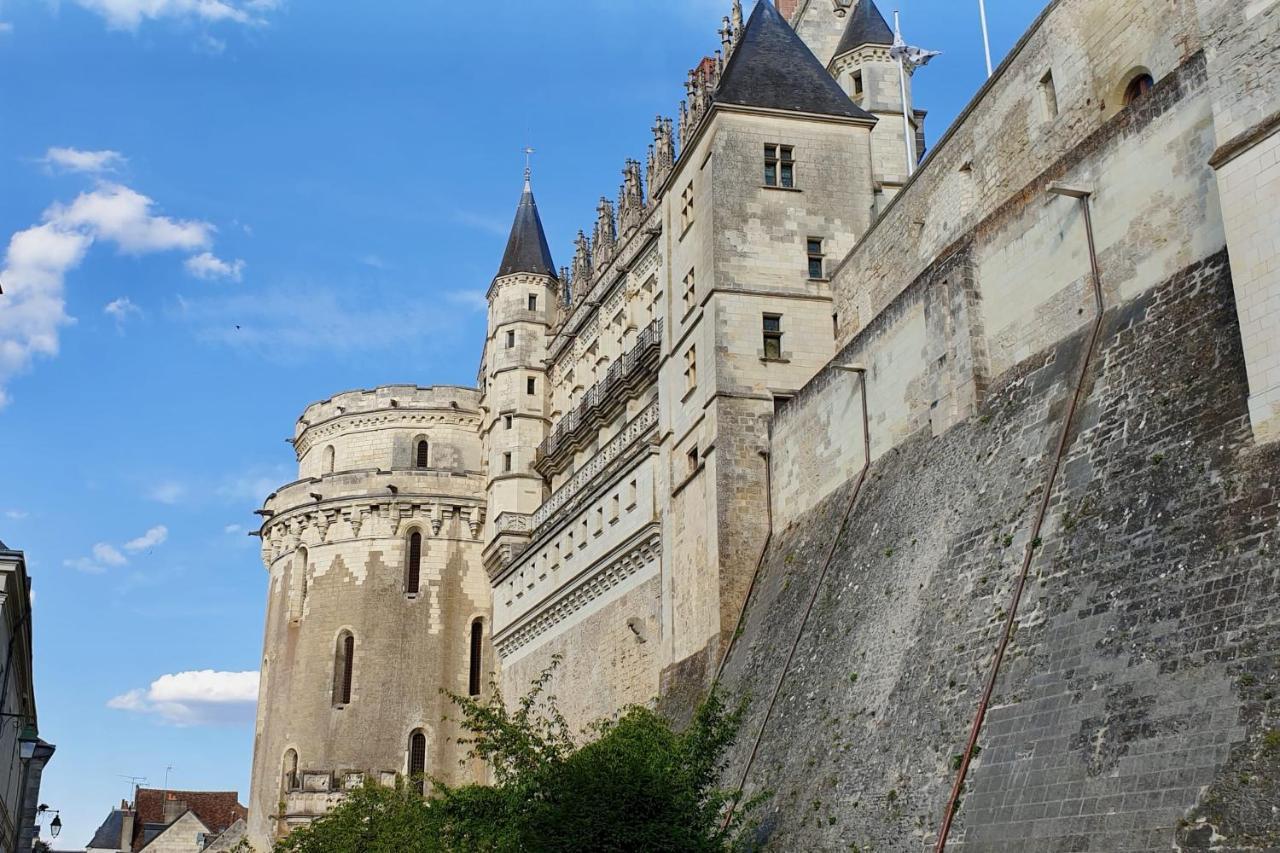 Splendid Apartment At The Foot Of The Castle Of Amboise - View Of The Loir エクステリア 写真