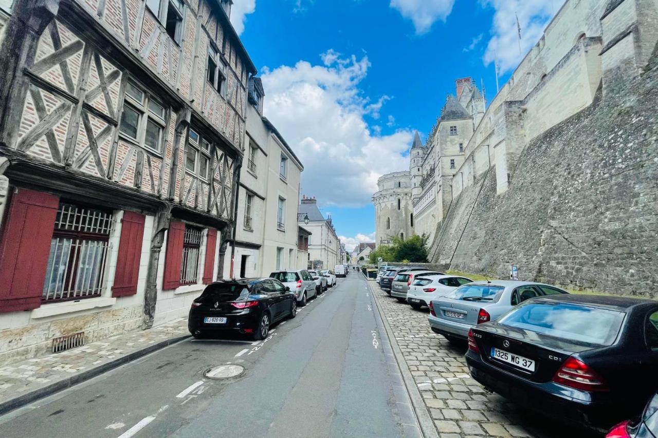 Splendid Apartment At The Foot Of The Castle Of Amboise - View Of The Loir エクステリア 写真